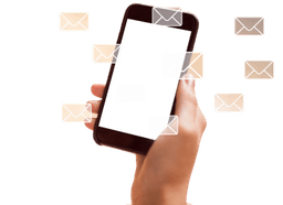 Accessing the Institutional Brief Article one Image