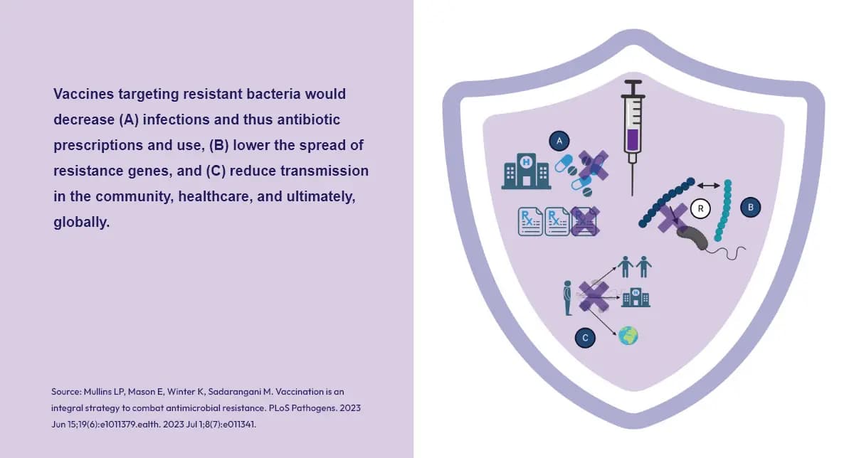 Shield graphic illustrating vaccines reducing infections, resistance spread, and AMR transmission.