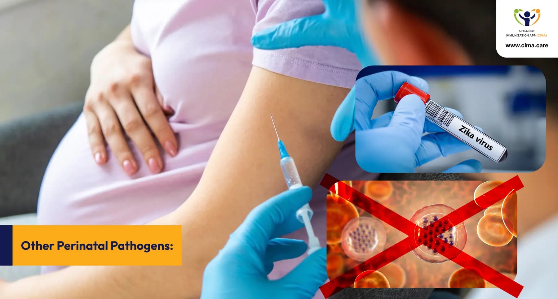 Maternal vaccination concept with Zika and pathogen prevention symbols.