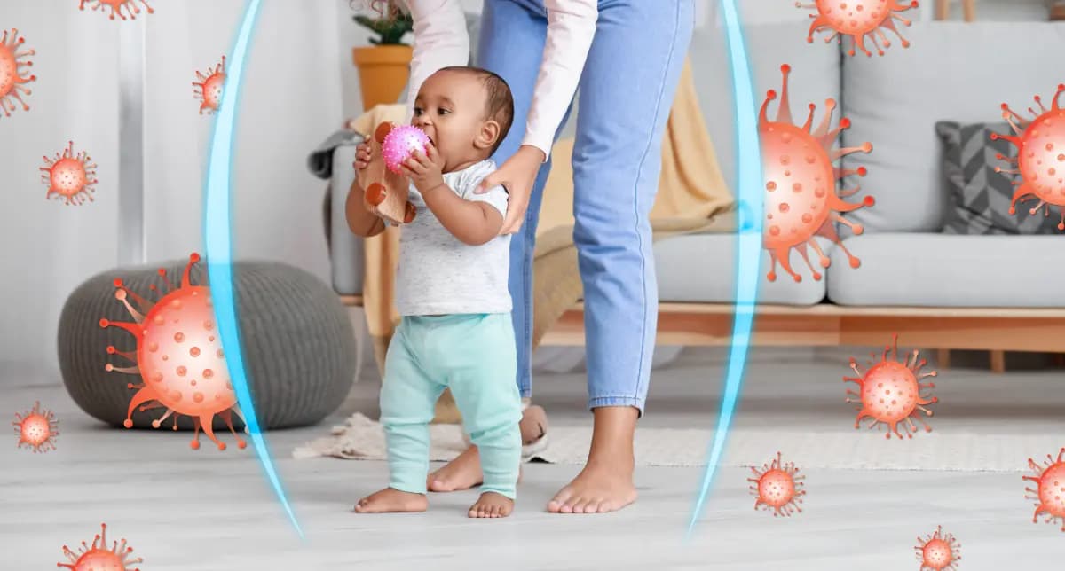 How Tummy Bugs Help the Immune System