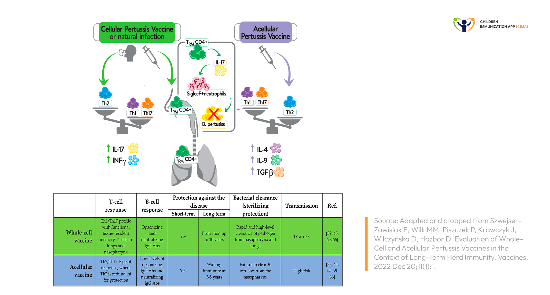 Illustration comparing whole‑cell and acellular pertussis vaccines.