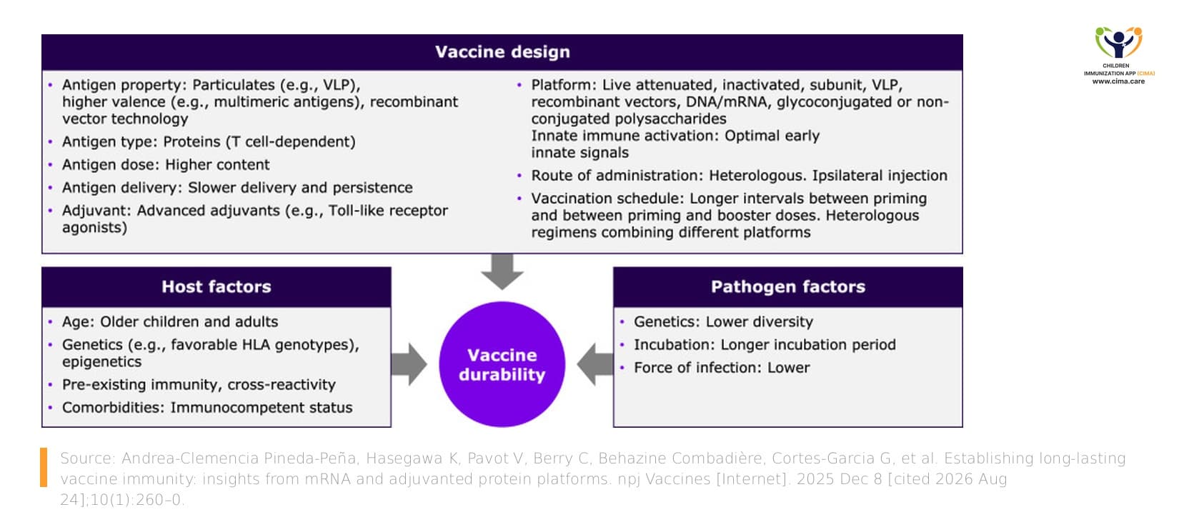 Diagram showing vaccine, host, and pathogen factors shaping vaccine durability.