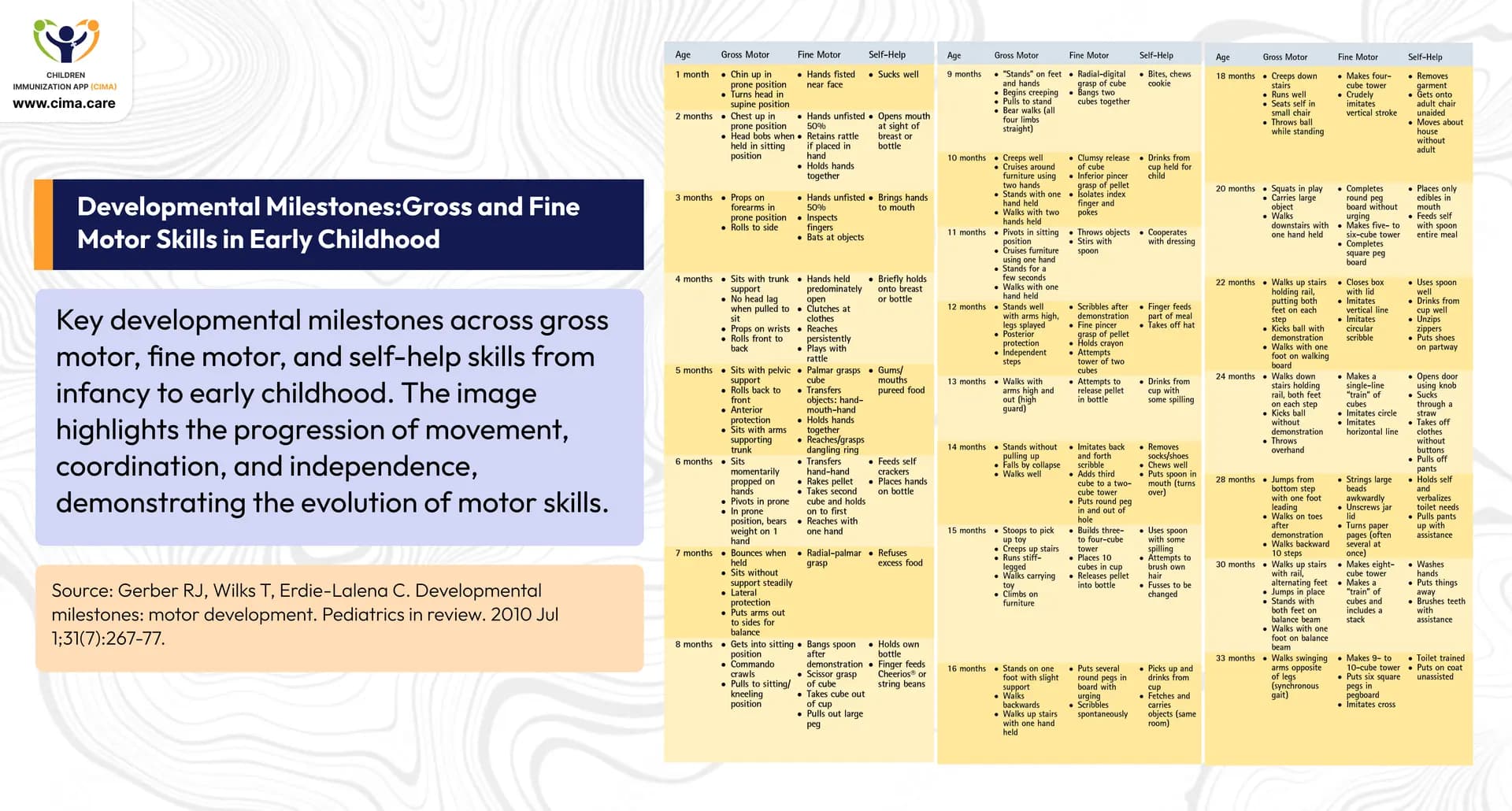 Detailed chart of gross motor, fine motor, and self-help skills development by age milestones.